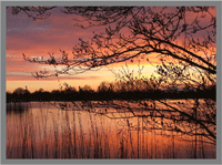 westhay nature reserve somerset
